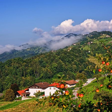 Farm Stay Pirc Lasko ภายนอก รูปภาพ