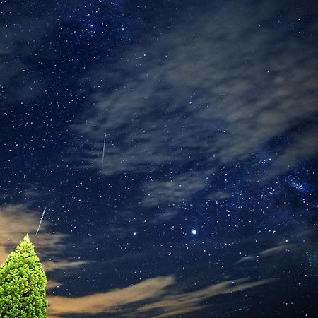 Farm Stay Pirc Lasko ภายนอก รูปภาพ