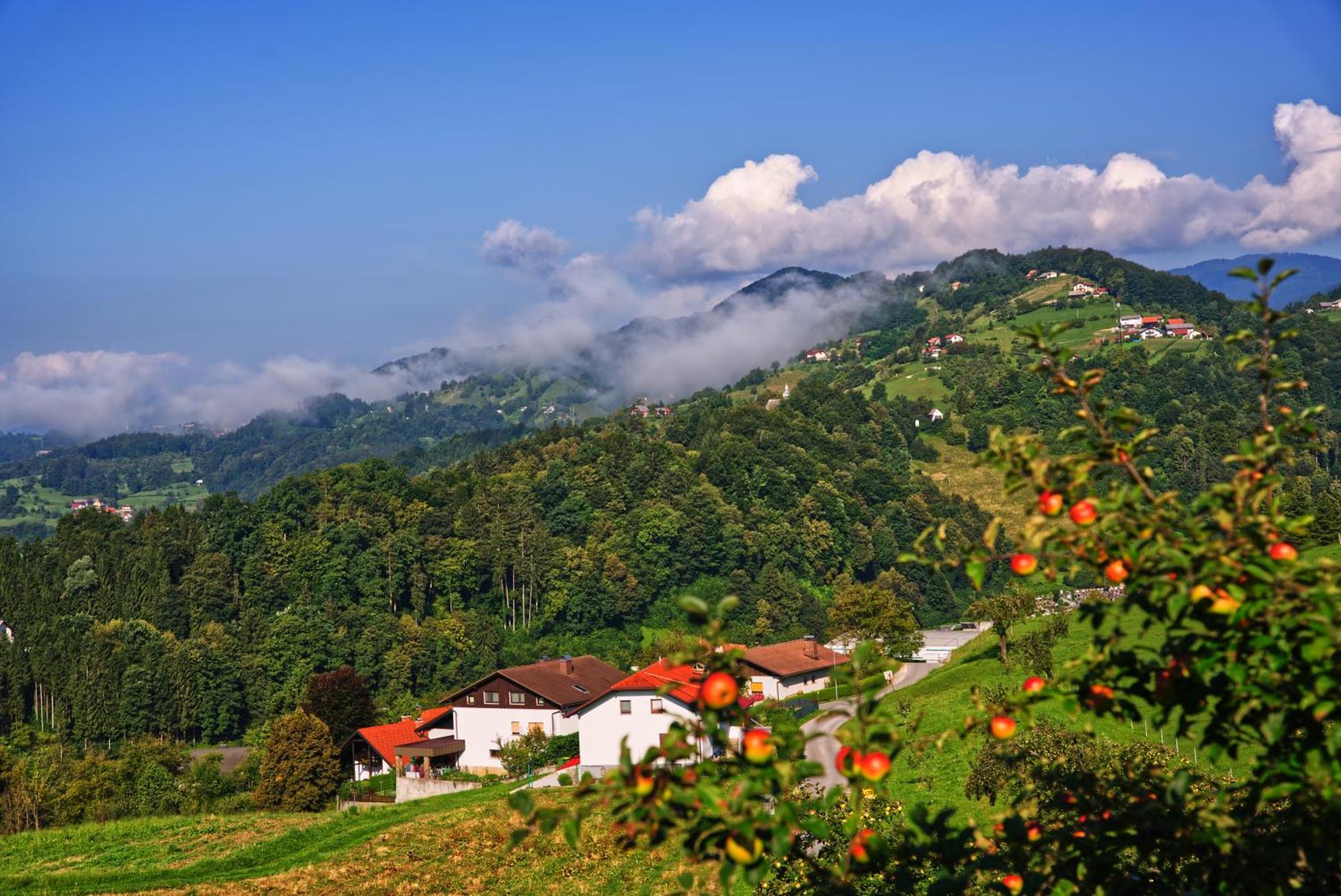 Farm Stay Pirc Lasko ภายนอก รูปภาพ