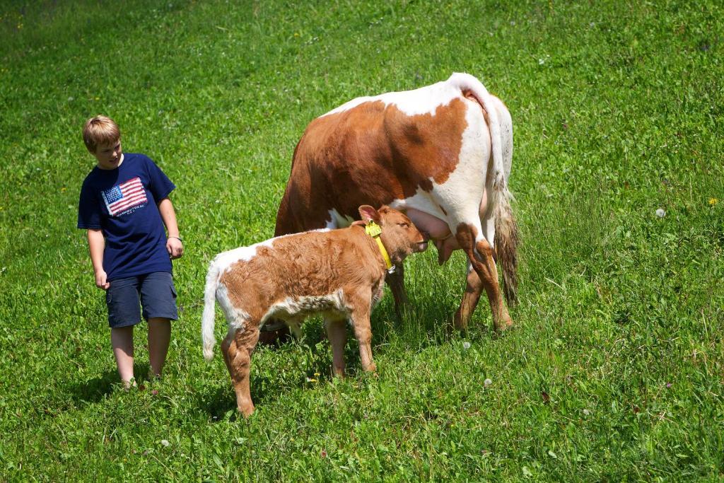 Farm Stay Pirc Lasko ภายนอก รูปภาพ